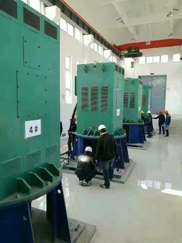 YKK7106-6某污水处理厂使用我厂的立式高压电机安装现场